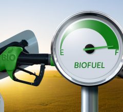 Comunicato stampa – Federauto Trucks&Van, Artusi in Commissione alla Camera: «Biocarburanti e target realistici»