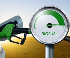 Comunicato stampa – Federauto Trucks&Van, Artusi in Commissione alla Camera: «Biocarburanti e target realistici»