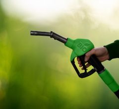 Comunicato stampa – Artusi: «Maggiore flessibilità per il futuro di biocarburanti e mezzi pesanti»